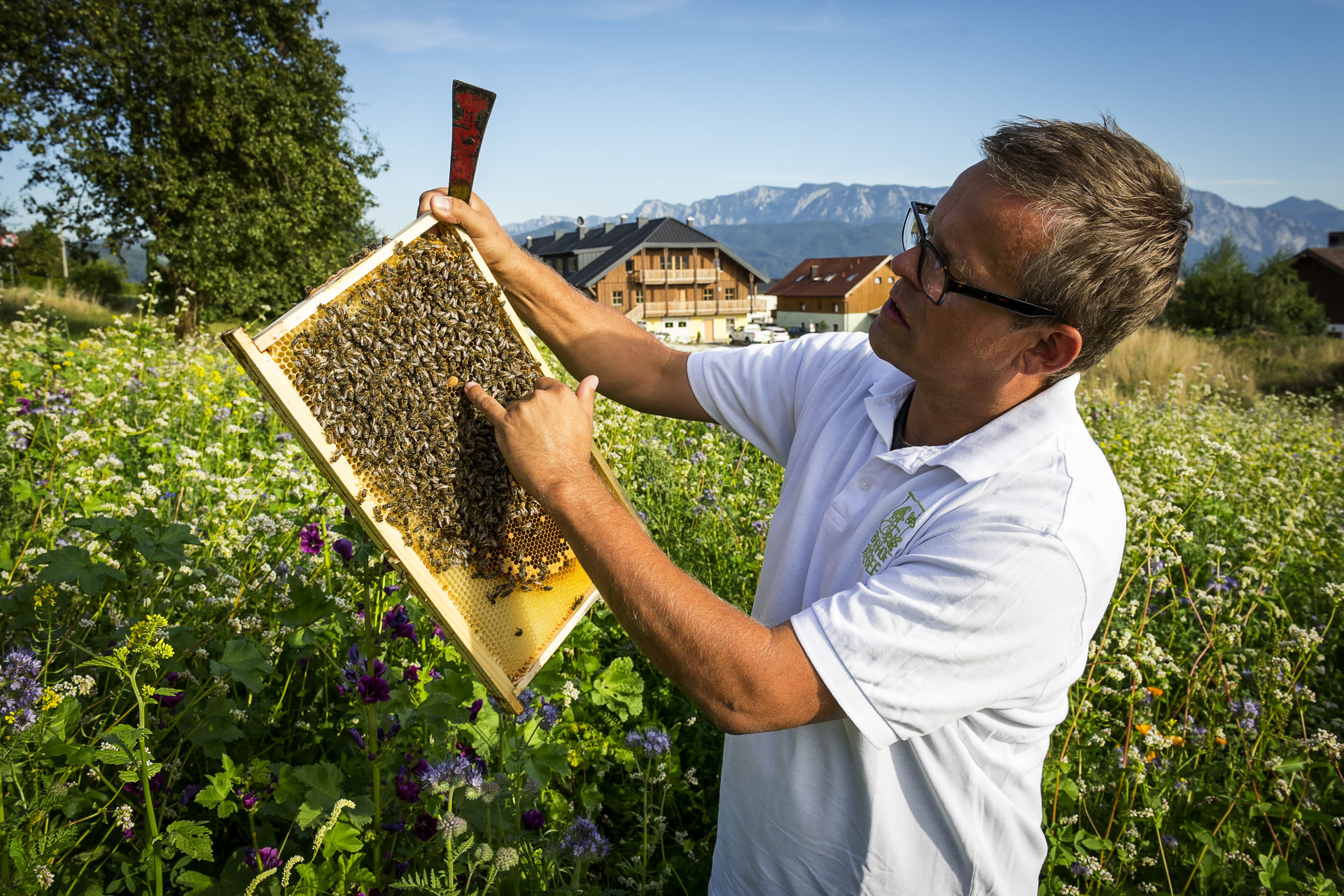 ein Mann zeigt und erklärt einen Teil eines Bienenstocks