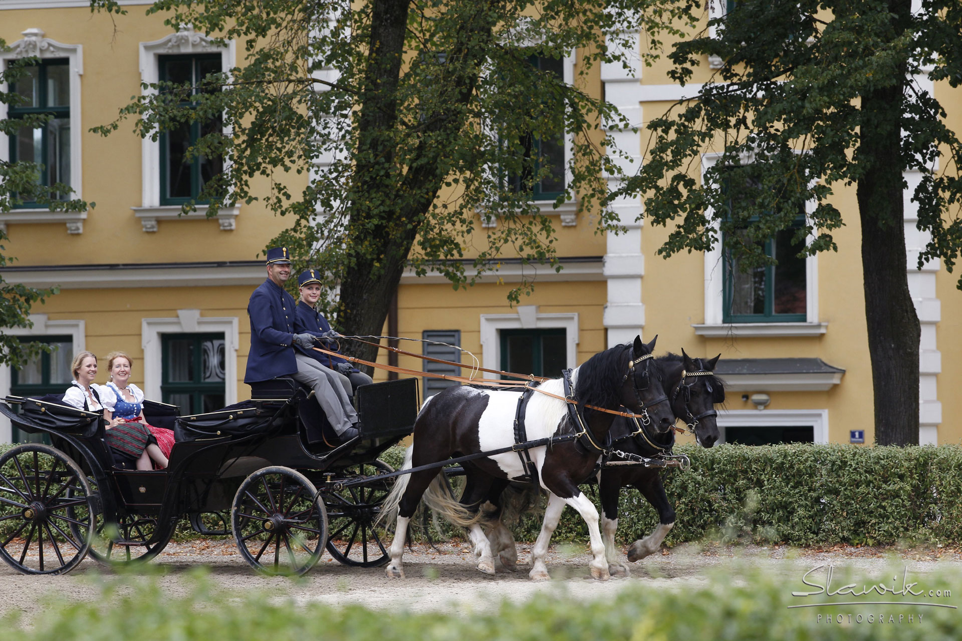 eine Pferdekutsche mit 2 Schwarz-Weißen Pferden, einem Kutscher und einer Kutscherin sowie 2 Damen in der Kutsche