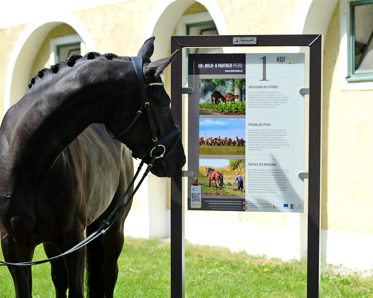 Pferd steht vor einer Tafel vor dem Hof